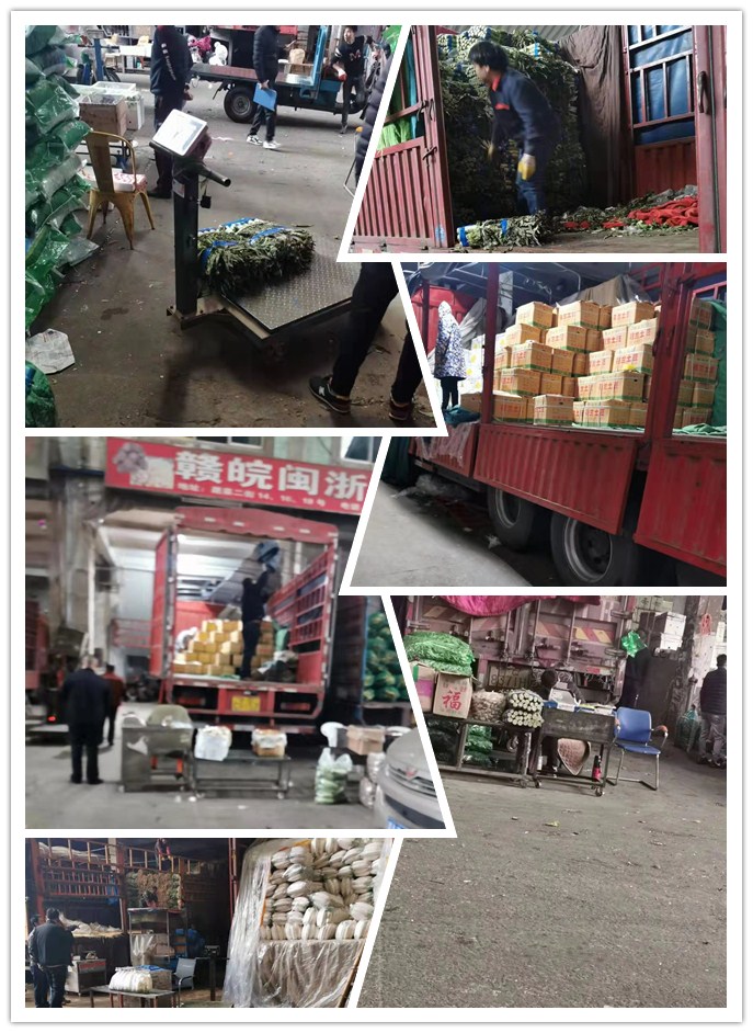 PA视讯(中国)集团官网 - PlayAce