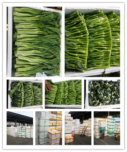 PA视讯(中国)集团官网 - PlayAce