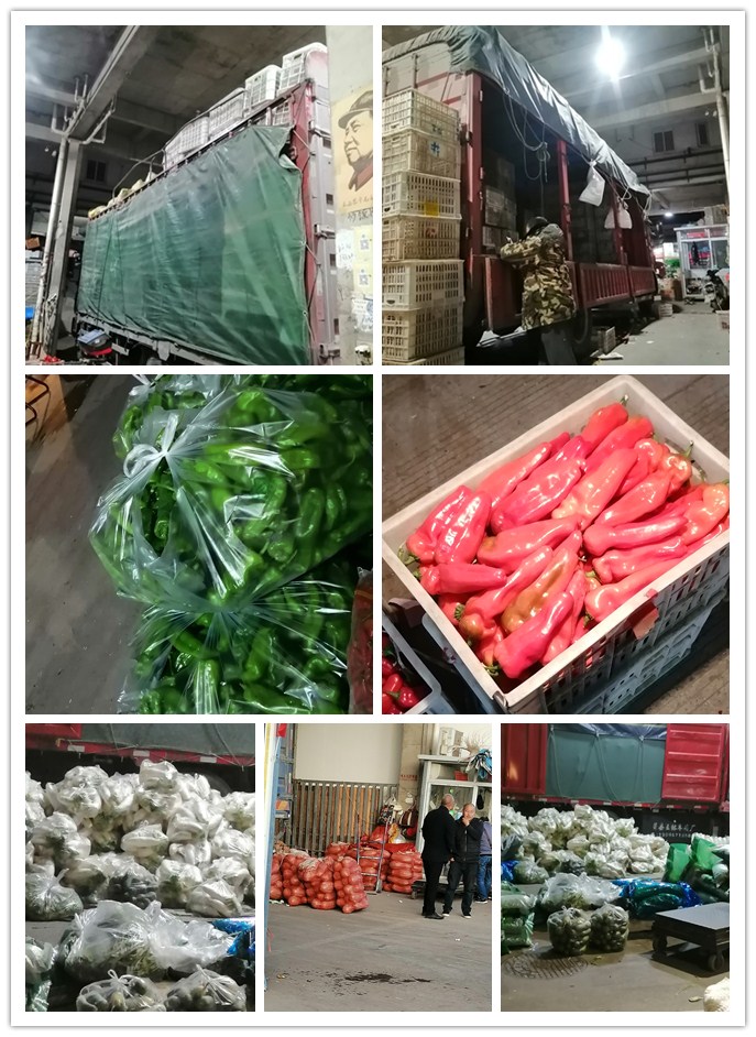 PA视讯(中国)集团官网 - PlayAce