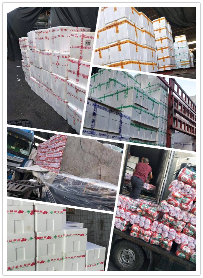 PA视讯(中国)集团官网 - PlayAce