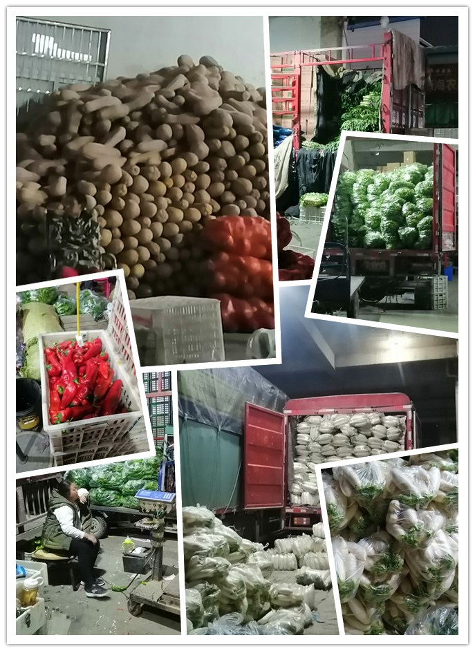 PA视讯(中国)集团官网 - PlayAce