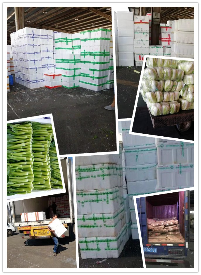 PA视讯(中国)集团官网 - PlayAce