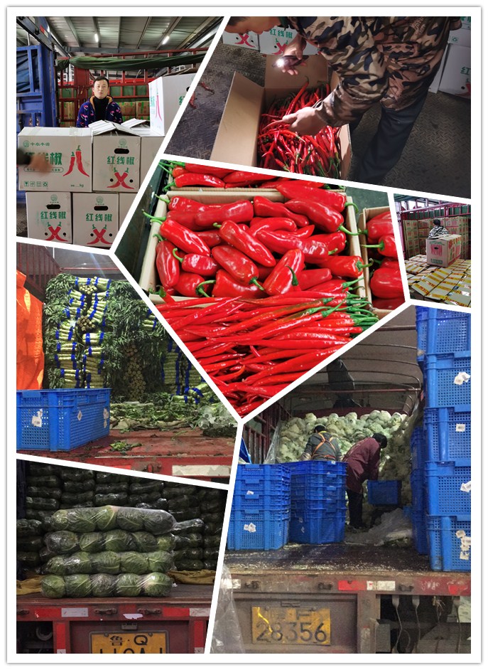 PA视讯(中国)集团官网 - PlayAce