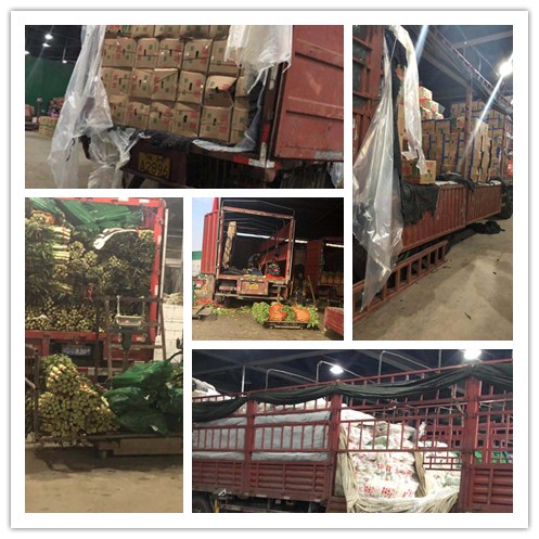 PA视讯(中国)集团官网 - PlayAce