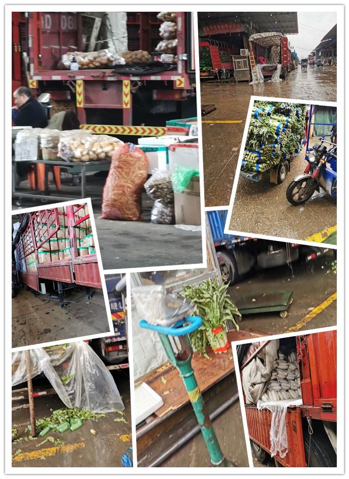 PA视讯(中国)集团官网 - PlayAce