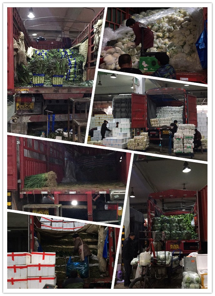 PA视讯(中国)集团官网 - PlayAce