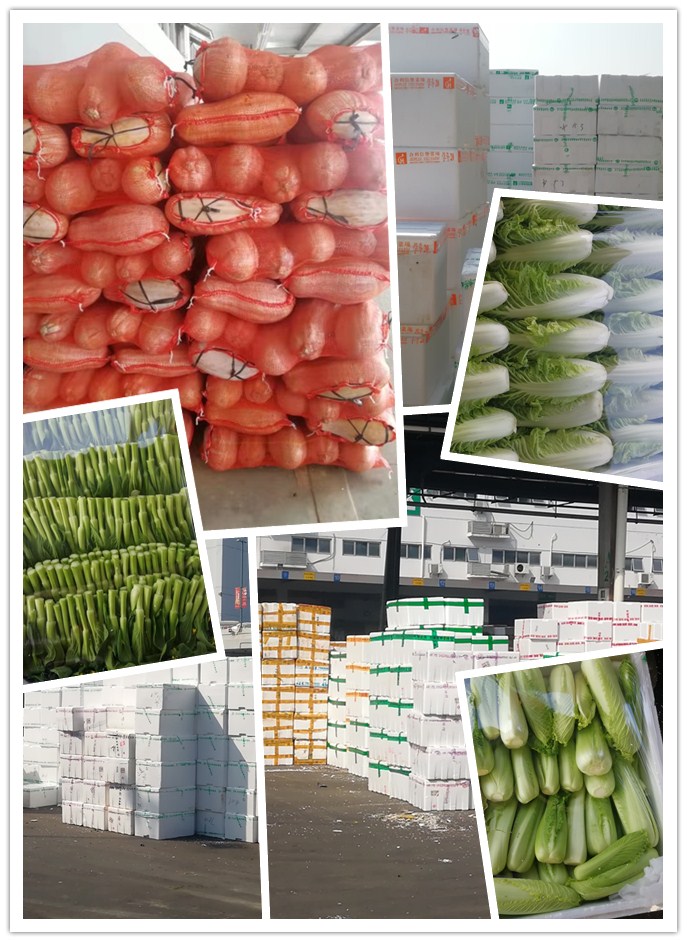 PA视讯(中国)集团官网 - PlayAce