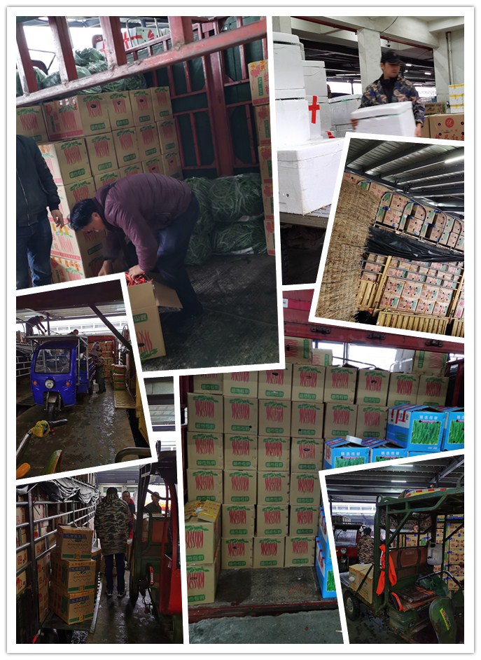 PA视讯(中国)集团官网 - PlayAce