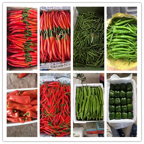 PA视讯(中国)集团官网 - PlayAce