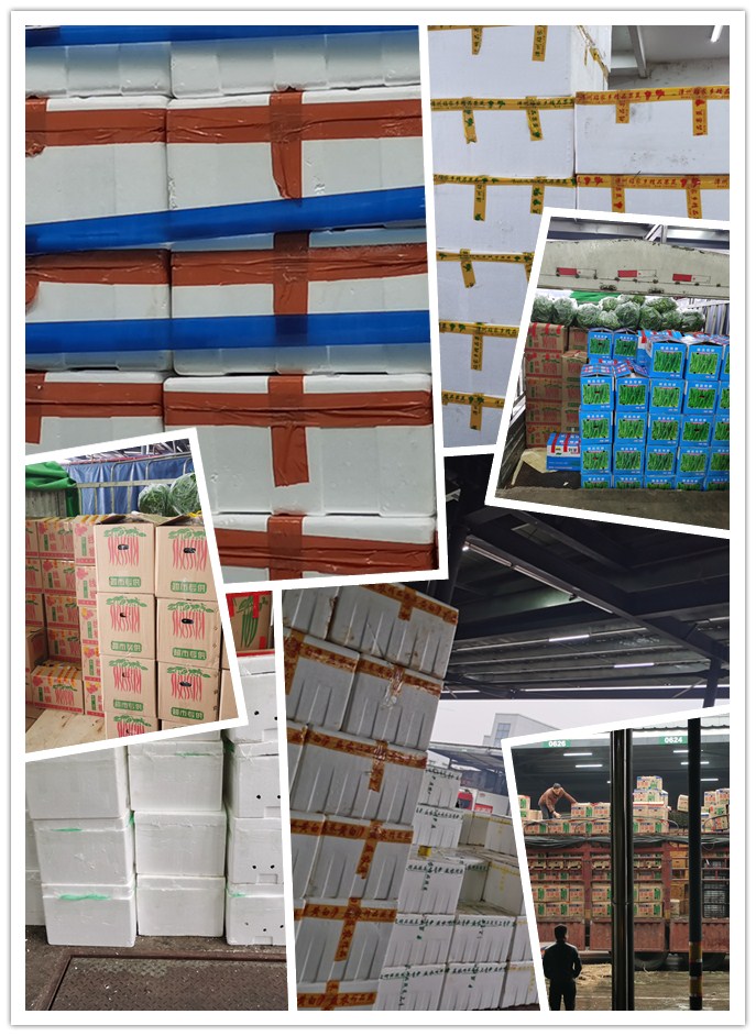 PA视讯(中国)集团官网 - PlayAce