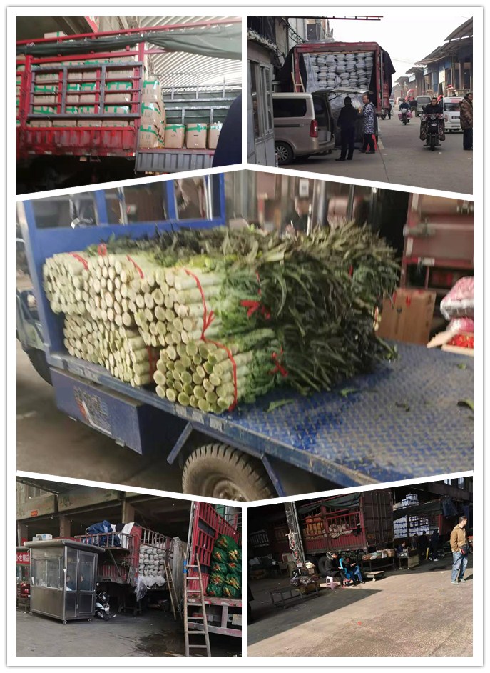 PA视讯(中国)集团官网 - PlayAce