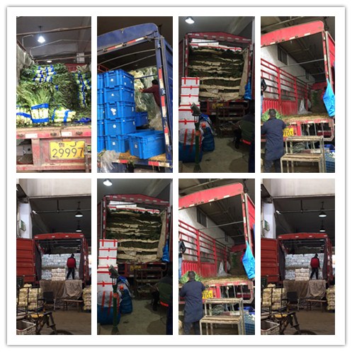 PA视讯(中国)集团官网 - PlayAce