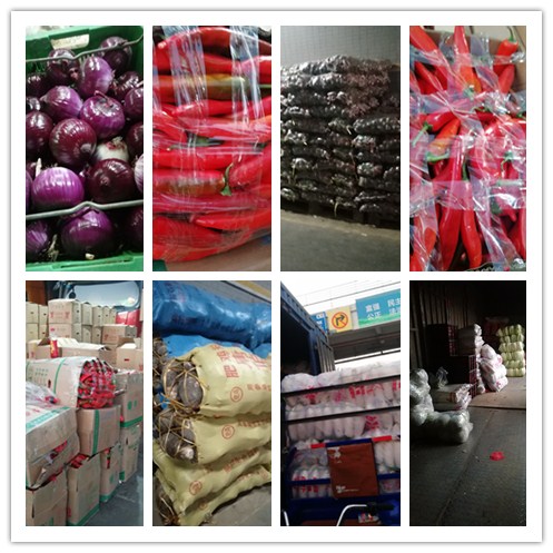 PA视讯(中国)集团官网 - PlayAce