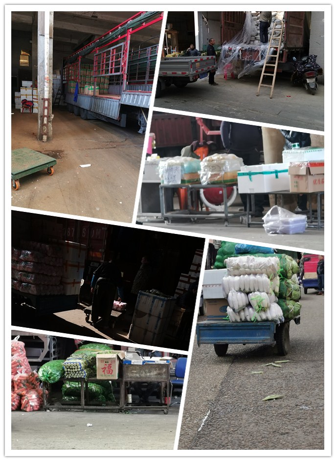 PA视讯(中国)集团官网 - PlayAce