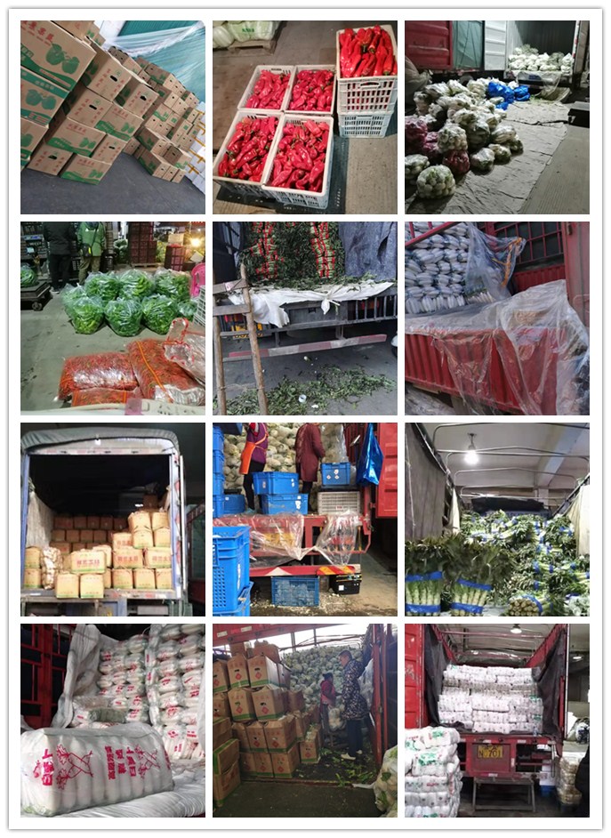 PA视讯(中国)集团官网 - PlayAce