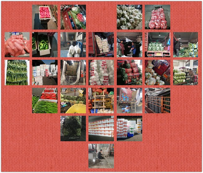 PA视讯(中国)集团官网 - PlayAce