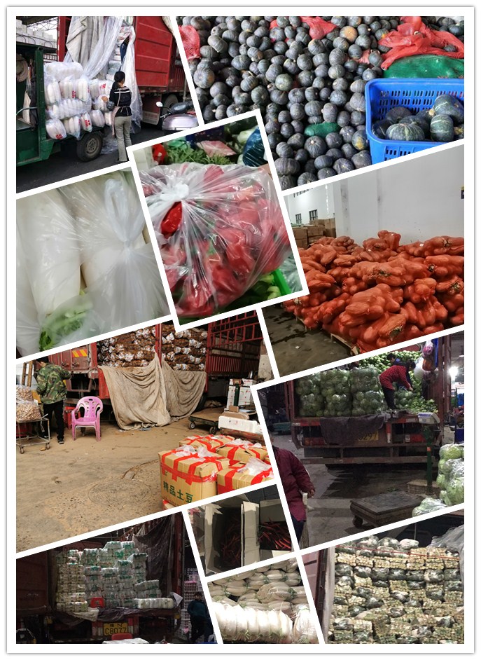 PA视讯(中国)集团官网 - PlayAce