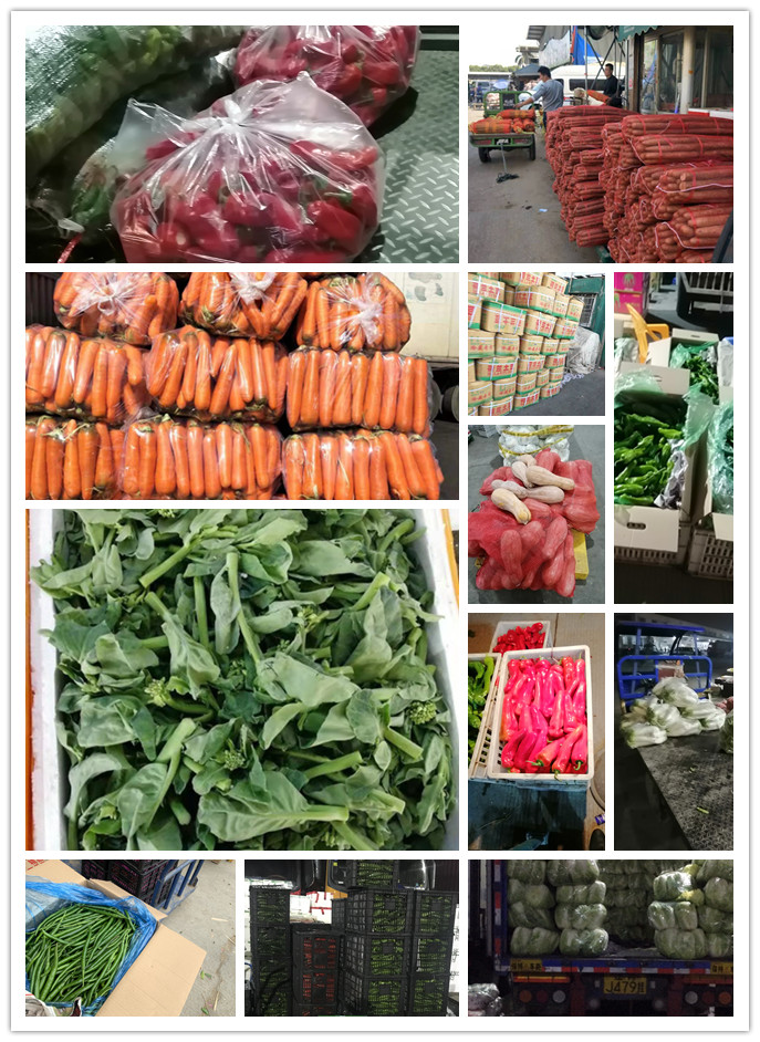 PA视讯(中国)集团官网 - PlayAce