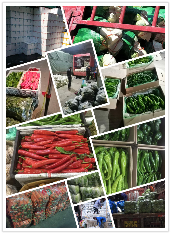 PA视讯(中国)集团官网 - PlayAce