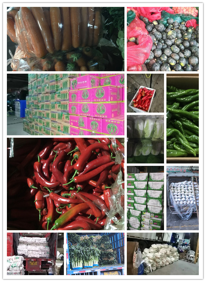 PA视讯(中国)集团官网 - PlayAce