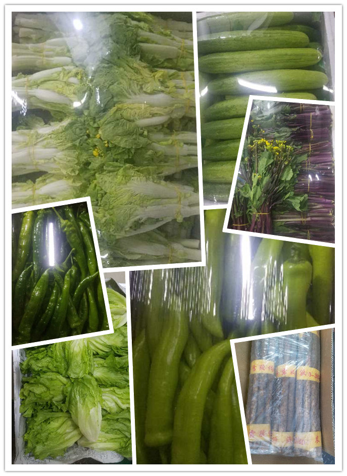 PA视讯(中国)集团官网 - PlayAce