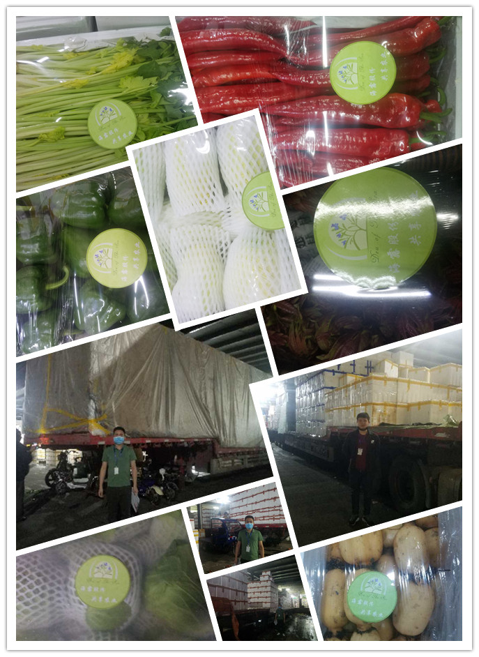 PA视讯(中国)集团官网 - PlayAce