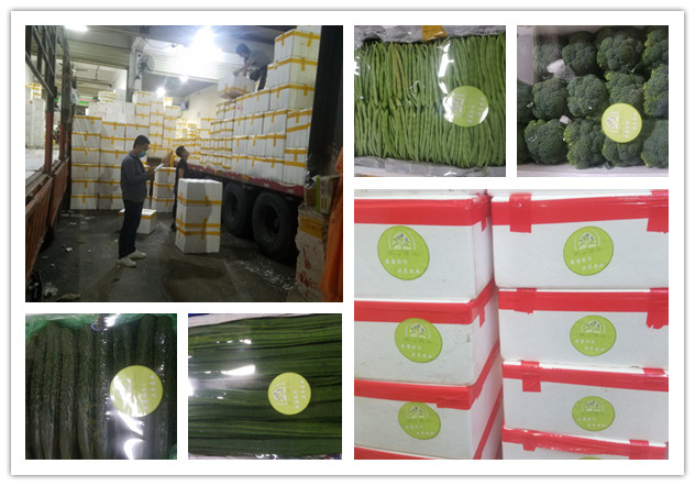 PA视讯(中国)集团官网 - PlayAce