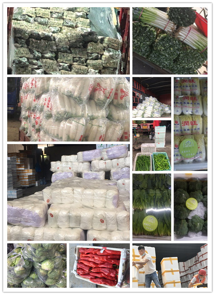 PA视讯(中国)集团官网 - PlayAce