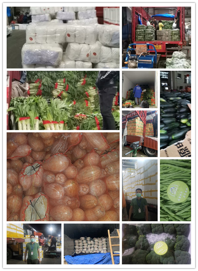 PA视讯(中国)集团官网 - PlayAce