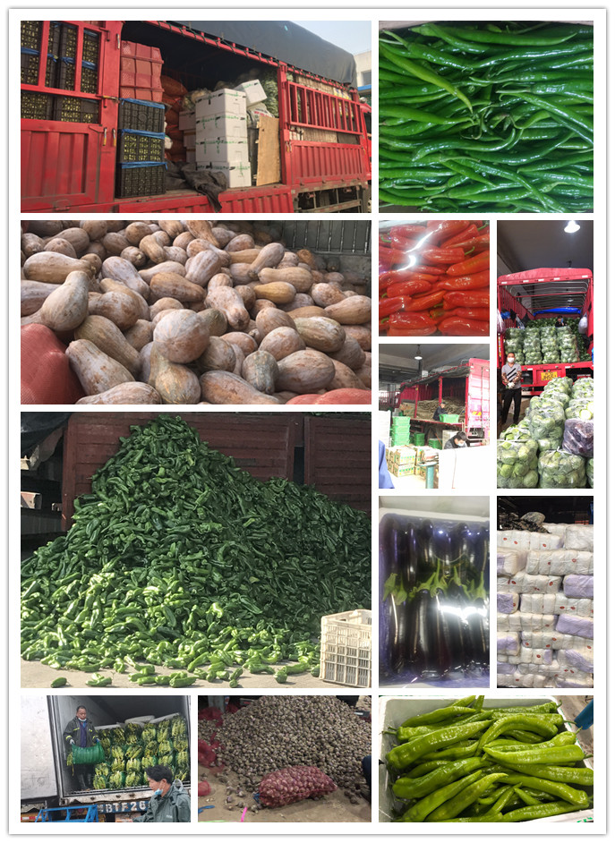 PA视讯(中国)集团官网 - PlayAce