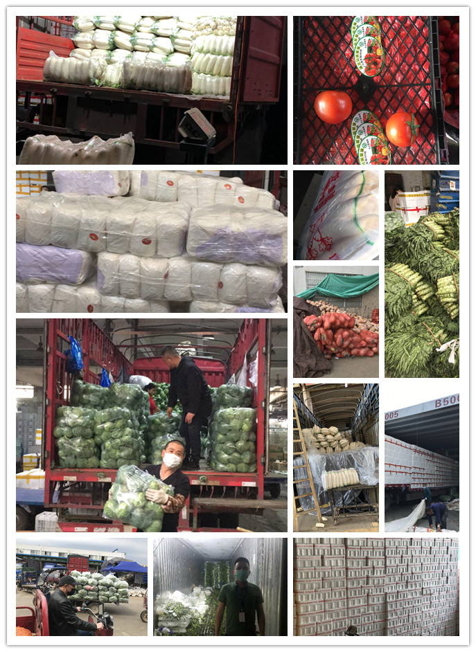 PA视讯(中国)集团官网 - PlayAce