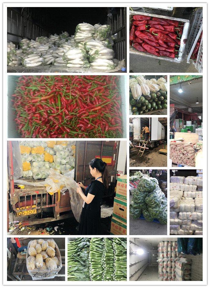 PA视讯(中国)集团官网 - PlayAce