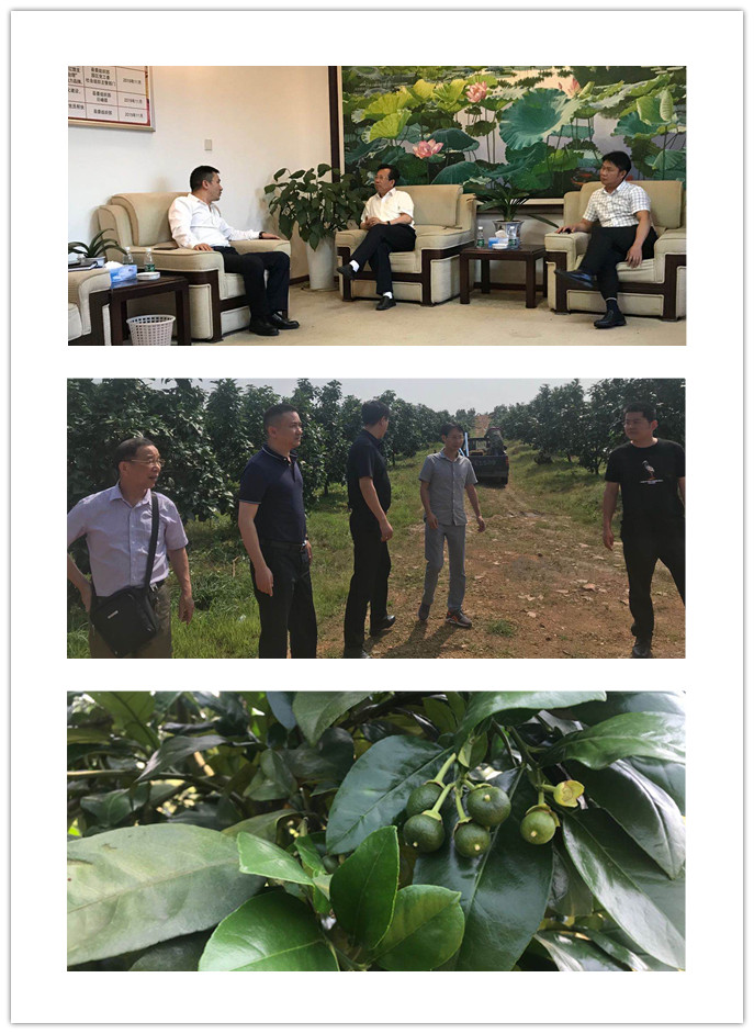 PA视讯(中国)集团官网 - PlayAce