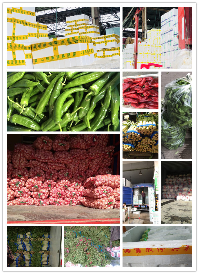 PA视讯(中国)集团官网 - PlayAce