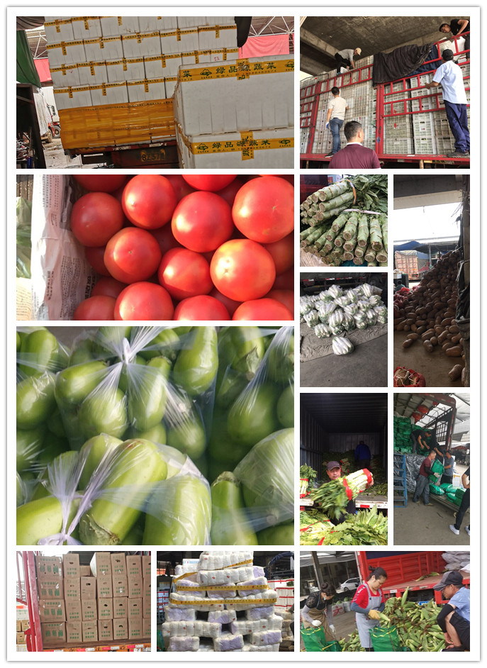 PA视讯(中国)集团官网 - PlayAce