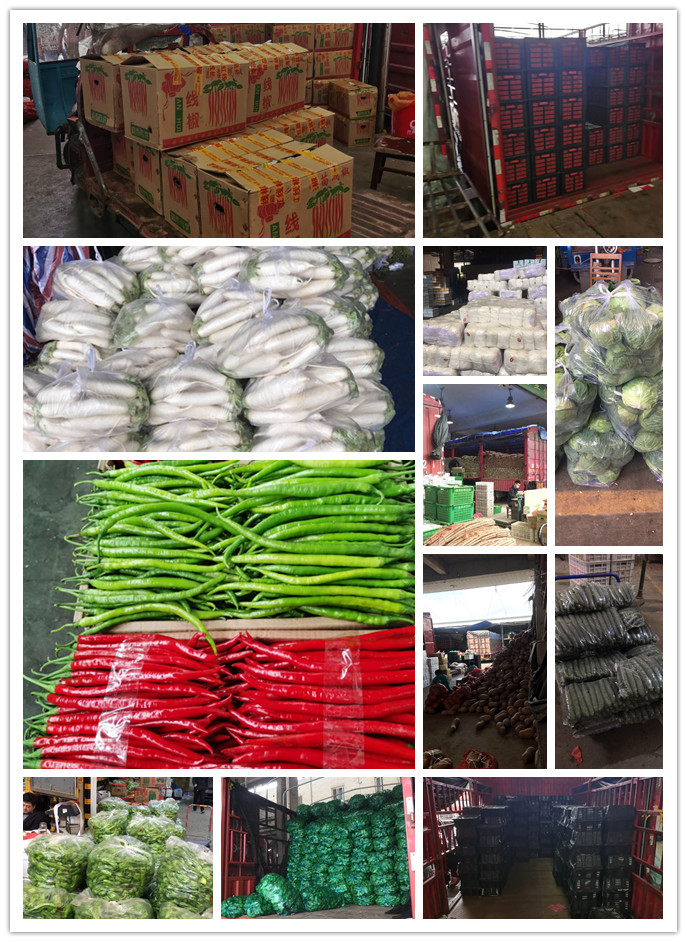 PA视讯(中国)集团官网 - PlayAce