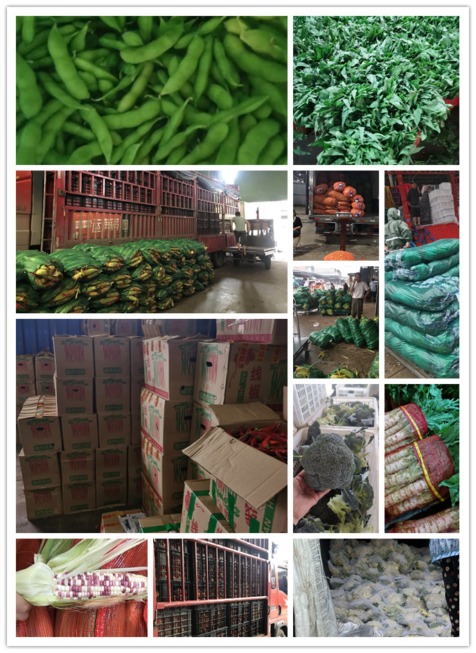 PA视讯(中国)集团官网 - PlayAce