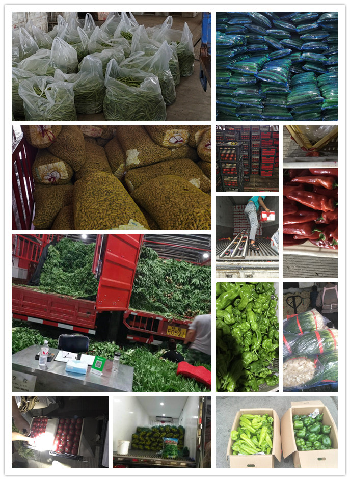 PA视讯(中国)集团官网 - PlayAce