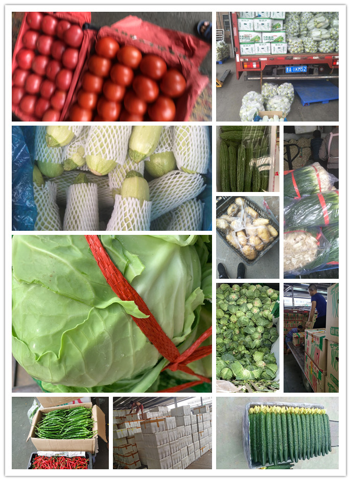 PA视讯(中国)集团官网 - PlayAce