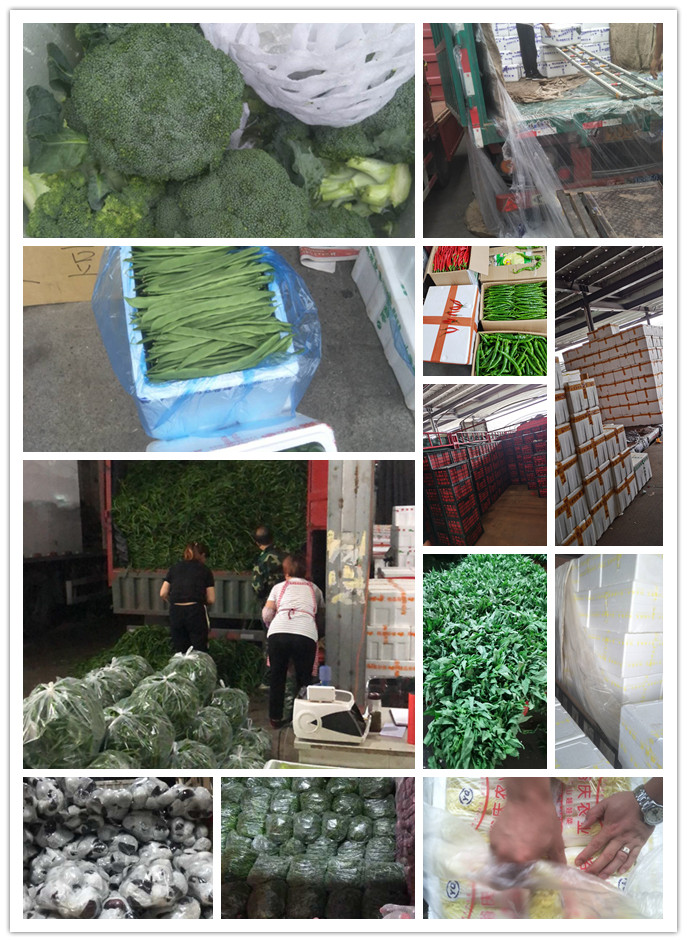 PA视讯(中国)集团官网 - PlayAce