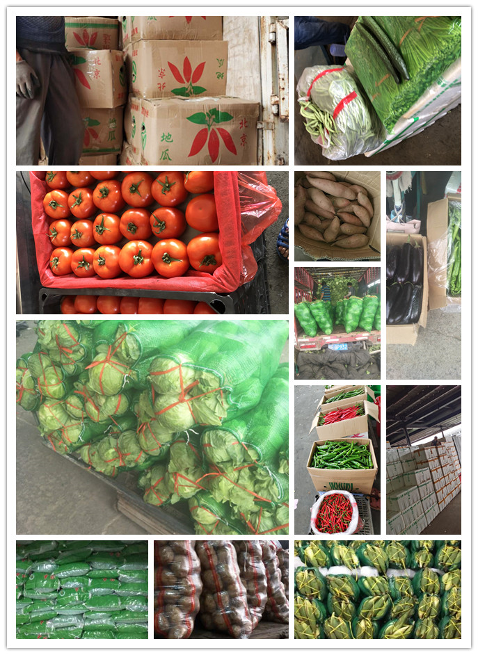 PA视讯(中国)集团官网 - PlayAce