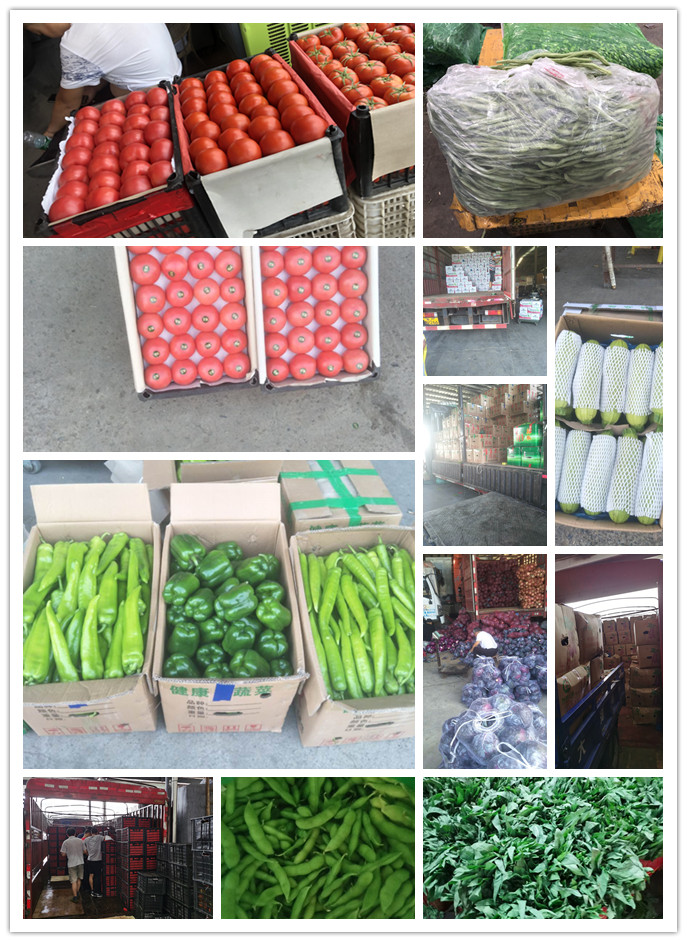 PA视讯(中国)集团官网 - PlayAce