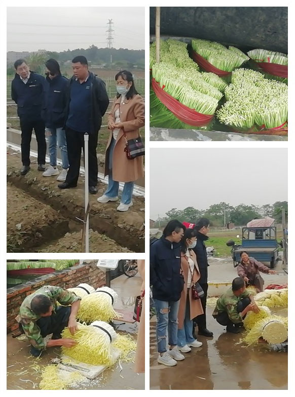 PA视讯(中国)集团官网 - PlayAce