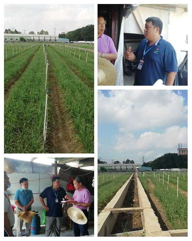 PA视讯(中国)集团官网 - PlayAce