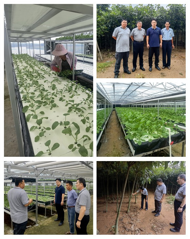 PA视讯(中国)集团官网 - PlayAce