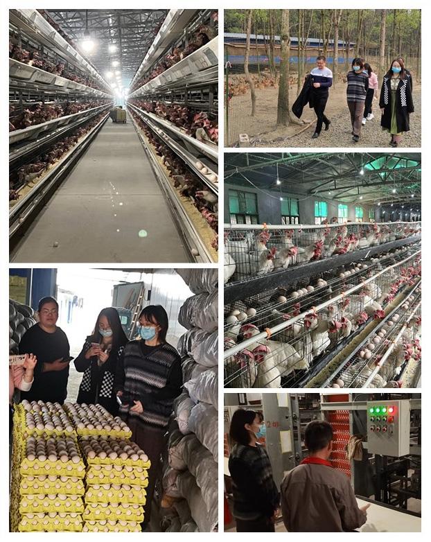 PA视讯(中国)集团官网 - PlayAce