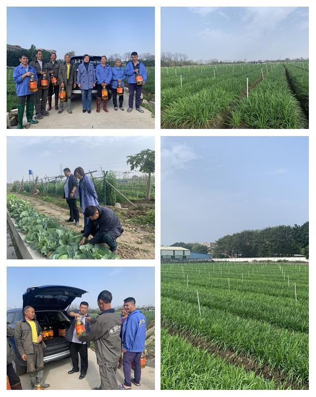 PA视讯(中国)集团官网 - PlayAce