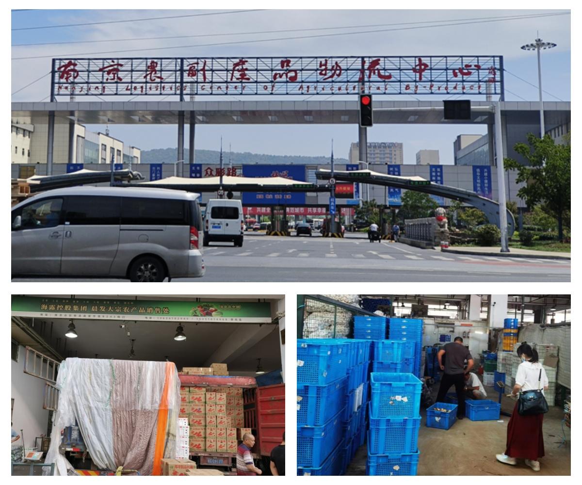 PA视讯(中国)集团官网 - PlayAce