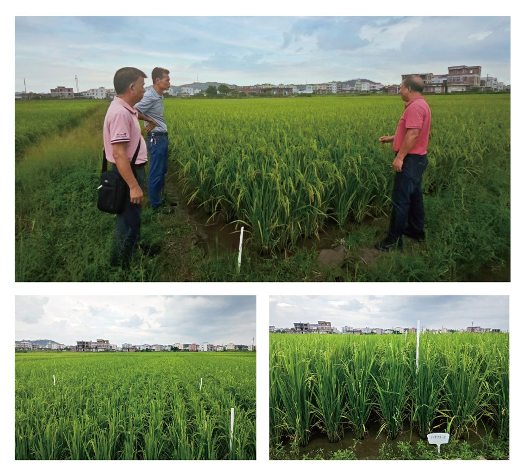 PA视讯(中国)集团官网 - PlayAce