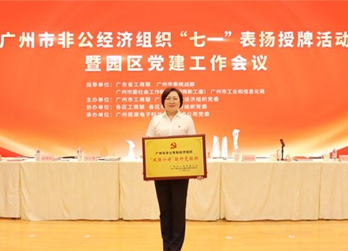 标杆引领，荣誉升级！集团党支部荣膺广州市非公有造经济组织“双强六好”标
